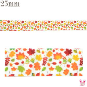 25mm@vg{@H̍gt{@2m@m݌Ɍn