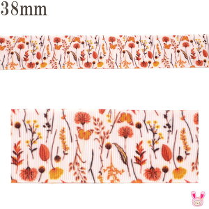 38mm@vg{@HF̂ԂƏ}{@2m@m݌Ɍn