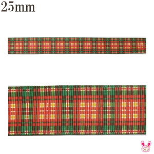 25mm@vg{@NX}X@NX}XJ[̃`FbN{@2m