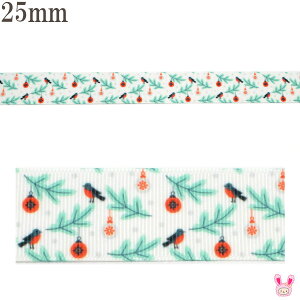 25mm@vg{@NX}X@NX}XvƏȏ{@2m@m݌Ɍn