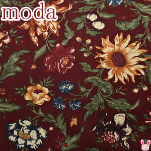 Moda@Vr[VbNȃt[@13Cn@10cmPʁ@؂蔄@_@9700@V[`On@(18)@m݌Ɍn