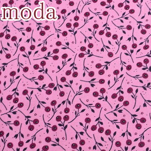 Moda@WILD MEADOW@[YChEh[@16sNn@10cmPʁ@؂蔄@_@43133-16@V[`On@(9)@m݌Ɍn