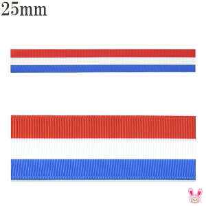 25mm@vg{@ tXJ[̃gR[{@2m