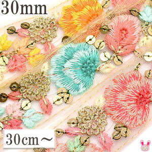 ChhJ{@30mm@pbV[t̃XpR[bVhJ{@10cmPʁ@؂蔄@(30cmȏ)@m݌Ɍn