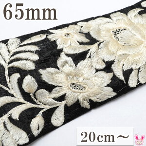 ChhJ{@65mm@FhJ̃GKgt[()@10cmPʁ@؂蔄i20cmȏj@m݌Ɍn