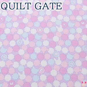 LfBVK[@Dp[vn@10cmPʁ@؂蔄@LgQCg@puni puni CANDY@PN1200-14@V[`On@(243)@m݌Ɍn