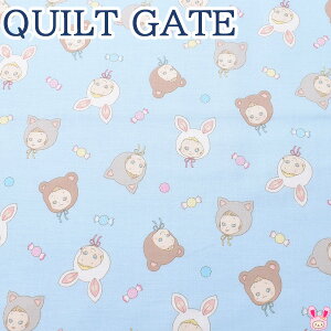 ՂɂՂɃtFCX@EFn@10cmPʁ@؂蔄@LgQCg@puni puni CANDY@PN1200-13@V[`On@(88)@m݌Ɍn