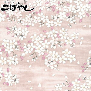 當l@BsNn@10cmPʁ@؂蔄@TUNXn@KTS6850@Rbg΂₵@(4)@(20cmȏ)