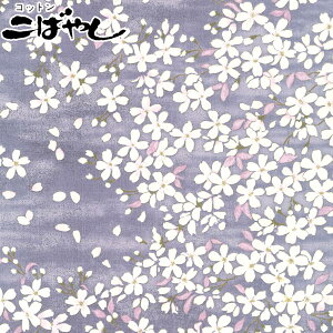 當l@Dp[vn@10cmPʁ@؂蔄@TUNXn@KTS6850@Rbg΂₵@(247)
