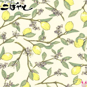 }t@AzCgn@u[hn@KTS6951@Rbg΂₵@(270)@(50cmȏ10cmPʐ؂蔄)@m݌Ɍn