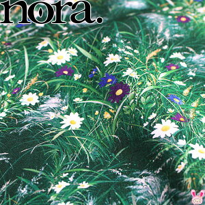 敗Ƒ@BO[n@V[`On@10cmPʁ@؂蔄@FR1063@m@NORA.@(67)@m݌Ɍn