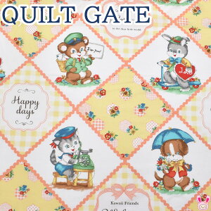 Aj}ƏԂ̃pb`[N@DCG[n@LW2040-11@ LgQCg@V[`On@(27) (50cmȏ10cmPʐ؂蔄)@m݌Ɍn