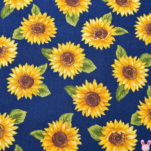 Tt[EXJC@DlCr[n@V[`On@H-7091-3@Hh@(262)@(50cmȏ10cmPʐ؂蔄)@m݌Ɍn