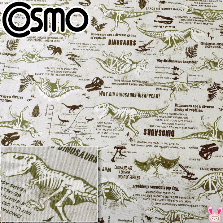 楽天市場】恐竜の化石図鑑 Aライトグレー系 10cm単位 切り売り  