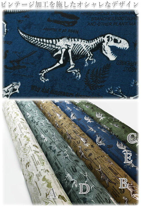 楽天市場】恐竜の化石図鑑 Eネイビー系 10cm単位 切り売り オックス  