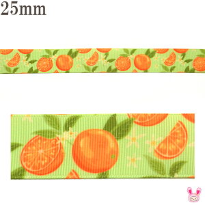 vg{@tbVȂ݂񕿃{@25mm@2m@m݌Ɍn