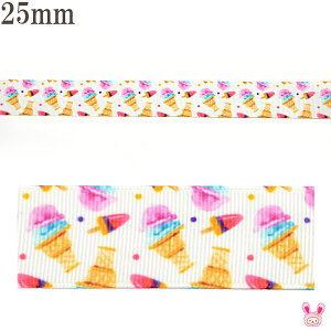 vg{@JthbgƃACXN[{@25mm@2m@m݌Ɍn