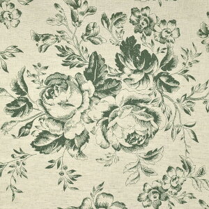 YUWAL֏X@pX[Y@ȖV[`On@CR449890 @pps(50cmȏ10cmPʐ؂蔄)@m݌Ɍn