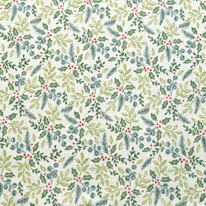 ~̗΂ƐԂ@Moda@_@56074@Rbgn@(50cmȏ10cmPʐ؂蔄)@m݌Ɍn