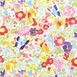 C܂ꃏ_[h@10cmPʁ@؂蔄@Moda@_@33654@Rbgn@m݌Ɍn