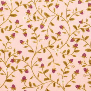 Go[A@10cmPʁ@؂蔄@Moda@_@43151@Rbgn@(20cmȏ)