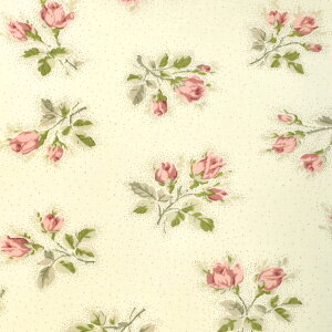 YUWAL֏X@vZX[Y@10cmPʁ@؂蔄@V[eBOn@KS23-012@[݌Ɍ]