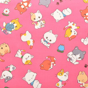 L[gȃgLbg@XPAn@SAORI-005@PCt@ubNm݌Ɍn(50cmȏ10cmPʐ؂蔄)