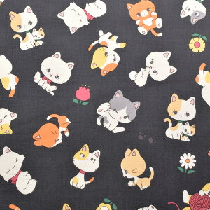 L[gȃgLbg@XPAn@SAORI-005@PCt@ubNm݌Ɍn(50cmȏ10cmPʐ؂蔄)