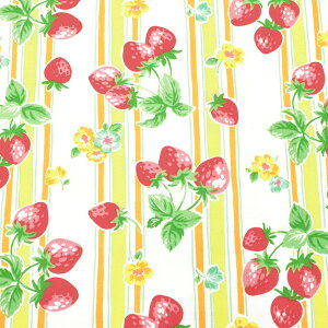 XgCv@XPAn@HM10555S@o@(50cmȏ10cmPʐ؂蔄)@m݌ɌnySALEiz