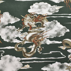 _@V[`On@SP3700-1@RX@m݌Ɍn(50cmȏ10cmPʐ؂蔄)