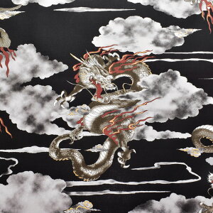 _@V[`On@SP3700-1@RX@m݌Ɍn(50cmȏ10cmPʐ؂蔄)