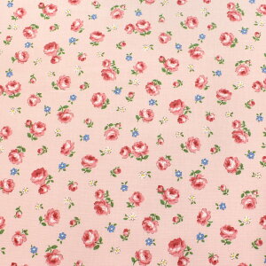 YUWAL֏X@`[~O[Y@V[eBOn@AT829837@m݌Ɍn(50cmȏ10cmPʐ؂蔄)