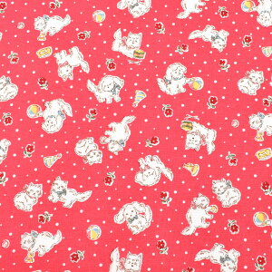 Aj}ƃhbg@Rbgn@HM10550@o@(50cmȏ10cmPʐ؂蔄)