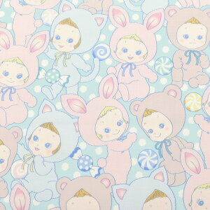 nbs[LfB[@Rbgn@PN1300-11@LgQCg@ (50cmȏ10cmPʐ؂蔄)@m݌Ɍn