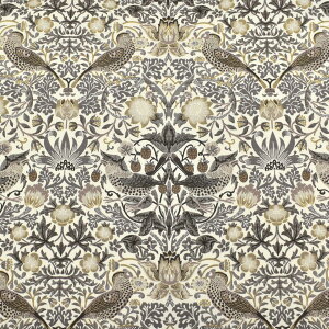 C`SD_EG{j[@Rbgn@8382@Moda@_@(50cmȏ10cmPʐ؂蔄)