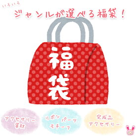 ジャンルが選べる！福袋　【宅配便】