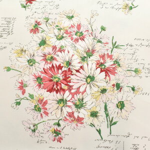 YUWAL֏X@fCW[u[PƂ@V[eBOn@YO824854@(50cmȏ10cmPʐ؂蔄)