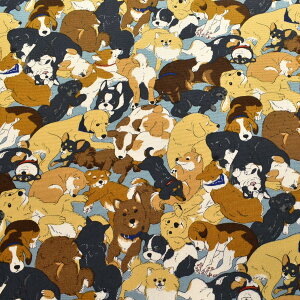 񂱑W@IbNXn@ AP45806-1@RX@(50cmȏ10cmPʐ؂蔄)