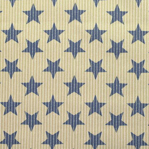 fjȐƃI[o[XgCv@cCn@ AP45807-1@RX@(50cmȏ10cmPʐ؂蔄)