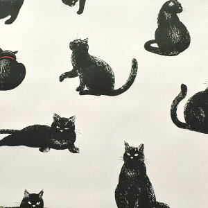 傫ߍL@IbNXn@ AP45109@RX@(50cmȏ10cmPʐ؂蔄)@m݌Ɍn