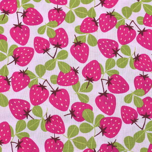 �������Ɨt���ρ@�X�P�A���n�@B850447Z-1�@�o���@(50cm�ȏ�10cm�P�ʐ؂蔄��)