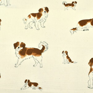 R[CPzfBG@IbNXn@AP45110-2@RX@(50cmȏ10cmPʐ؂蔄)