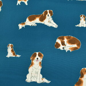 R[CPzfBG@IbNXn@AP45110-2@RX@(50cmȏ10cmPʐ؂蔄)