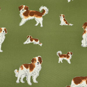 R[CPzfBG@IbNXn@AP45110-2@RX@(50cmȏ10cmPʐ؂蔄)