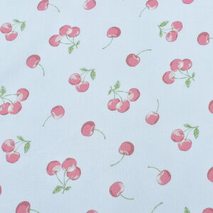 ݃J[̂ځ@V[`On@ AP51101-1@RX@(50cmȏ10cmPʐ؂蔄)@m݌Ɍn