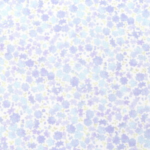 Ԃ̖@V[`On@SP-328-V0@Monti@prism@(50cmȏ10cmPʐ؂蔄)