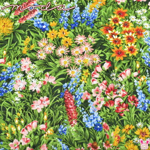 lCeBut[@11}`@Rbgn@33770-11@Moda@_@pps (64)(50cmȏ10cmPʐ؂蔄)