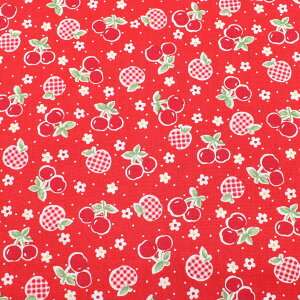 񂲂Ƃځ@V[`On@HM10645@o@(50cmȏ10cmPʐ؂蔄)