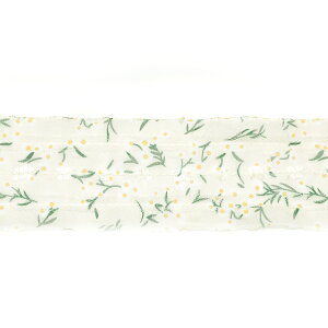 ~jtWtzCgt[VA[{@50mm@1mPʁ@؂蔄 