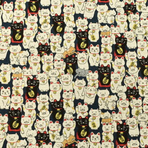 ɂ񂱁@ȖLoXn@KTS7106@Rbg΂₵@(50cmȏ10cmPʐ؂蔄)